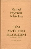 Tím světem bloudím