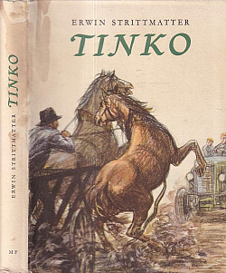 Tinko