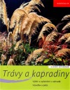 Trávy a kapradiny