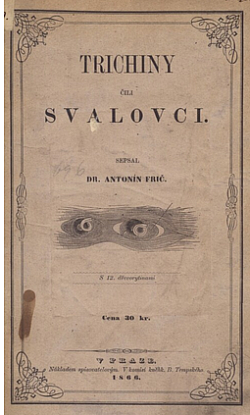 Trichini čili svalovci
