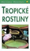 Tropické rostliny