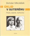 Úklid v suterénu