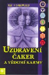 Uzdravení čaker a vědomí karmy