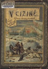 V cizině