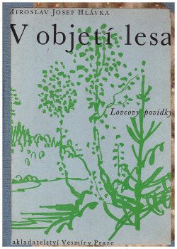 V objetí lesa