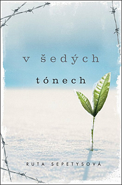 V šedých tónech