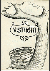 V studni
