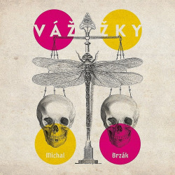 Vážky