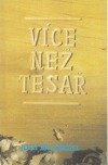 Více než tesař