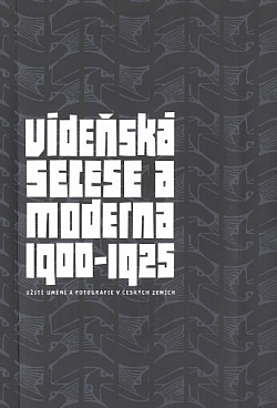 Vídeňská secese a moderna 1900–1925