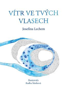 Vítr ve tvých vlasech