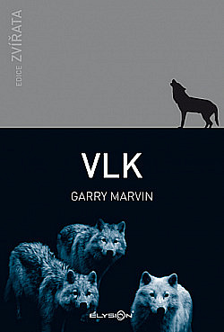 Vlk