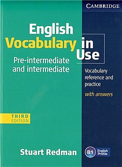 Vocabulary in Use