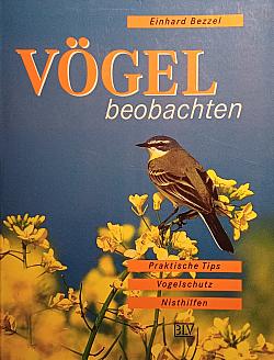 Vögel beobachten