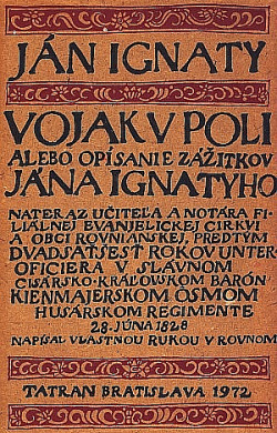 Vojak v poli
