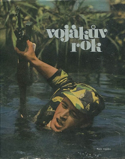 Vojákův rok