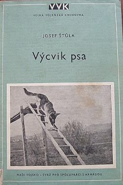 Výcvik psa