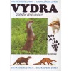 Vydra