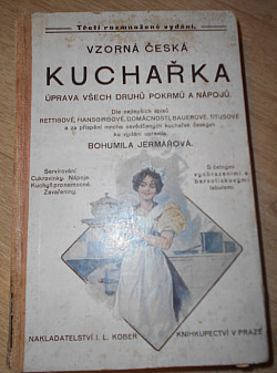 Vzorná česká kuchařka