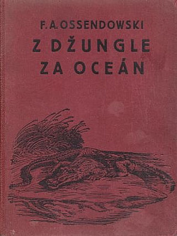 Z džungle za oceán