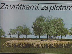 Za vrátkami, za plotom