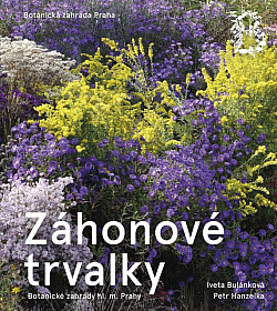 Záhonové trvalky