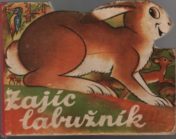 Zajíc labužník