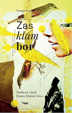 Zasklambor