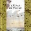 Zázrak okamžiku