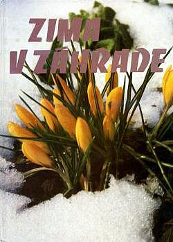 Zima v záhrade