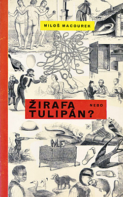 Žirafa nebo tulipán?