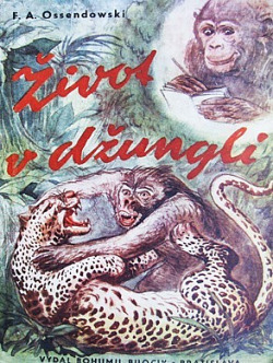 Život v džungli