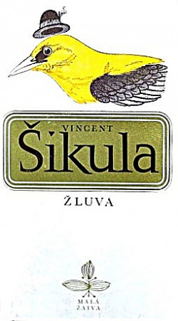 Žluva
