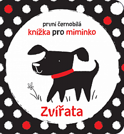 Zvířata