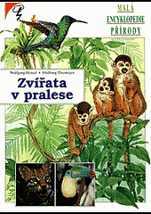 Zvířata v pralese